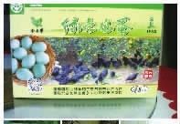 MG电子,油茶种植出产加工销售,植物油种植出产加工销售